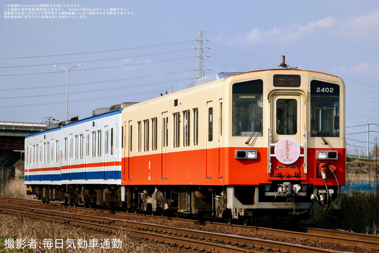 【関鉄】「関鉄お花見ビール列車」が運転(2026)の拡大写真