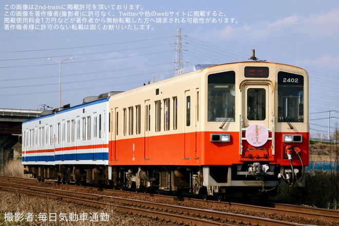 【関鉄】「関鉄お花見ビール列車」が運転(2026)（1枚目）