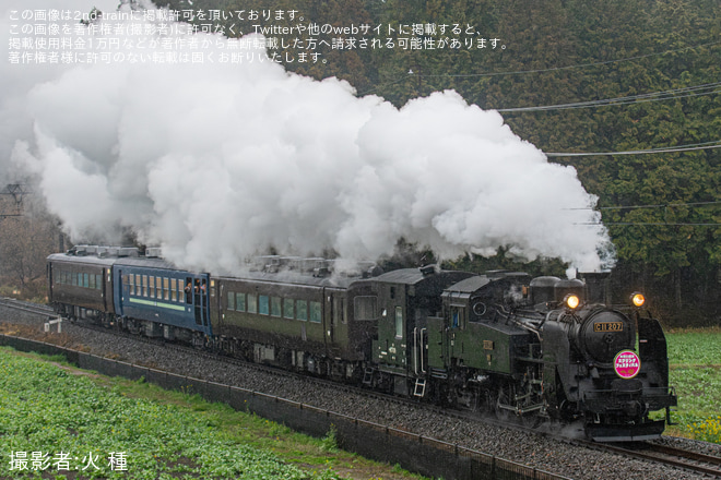 SL大樹6号/C11 207(鬼怒川温泉スプリングフェスティバルHM)＋混色編成