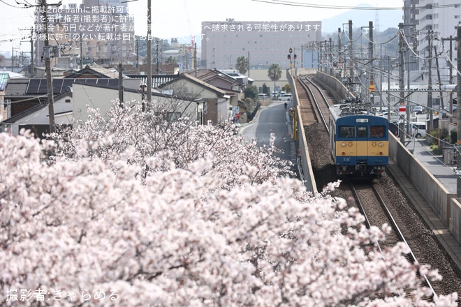 【JR西】クモヤ145-1105が「サンキュー145」表示で後藤総合車両所本所へ廃車回送（2枚目）