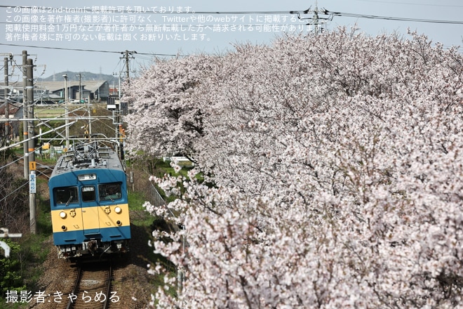 【JR西】クモヤ145-1105が「サンキュー145」表示で後藤総合車両所本所へ廃車回送（1枚目）