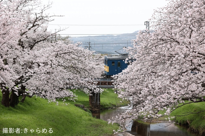 【JR西】クモヤ145-1105が「サンキュー145」表示で後藤総合車両所本所へ廃車回送（3枚目）