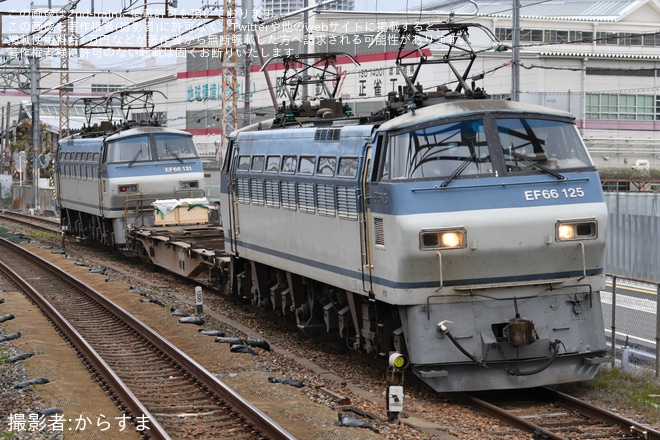 【JR西】EF66-131+コキ107+EF66-125を使用した動揺測定を岸辺駅で撮影した写真