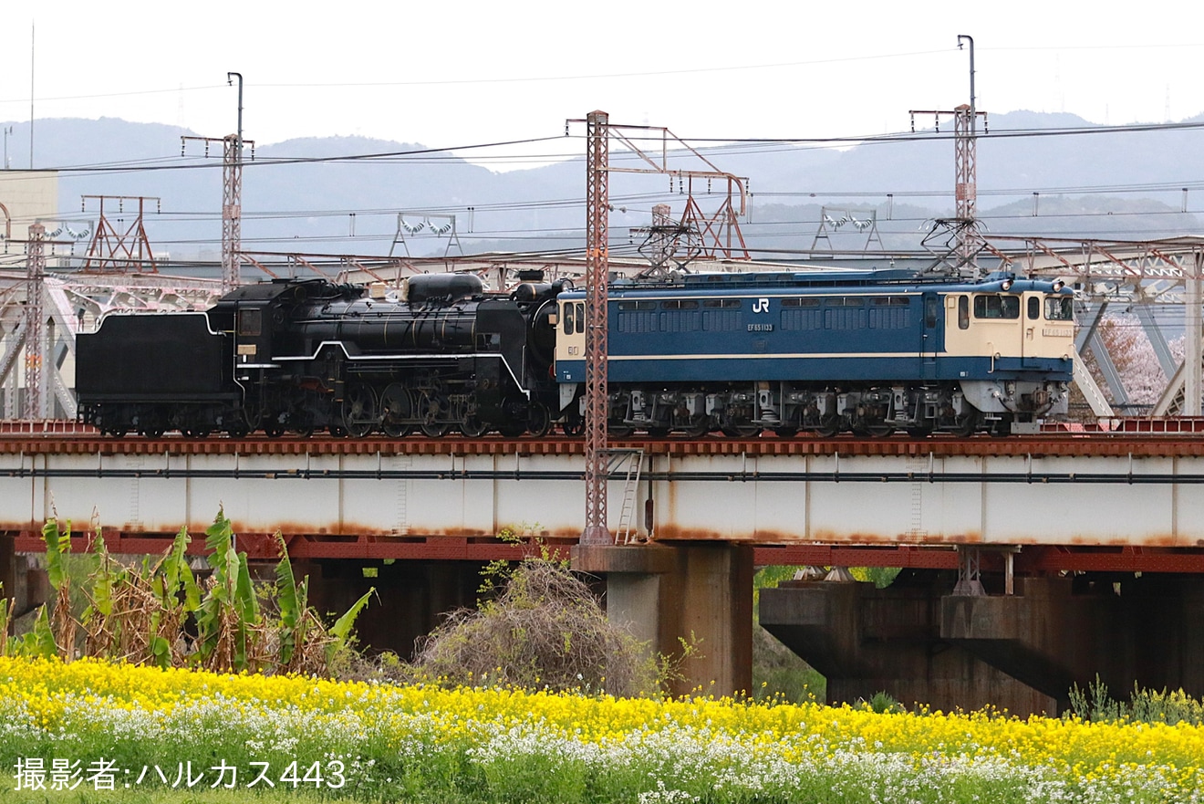 【JR西】D51-200新山口へ配給輸送されるの拡大写真