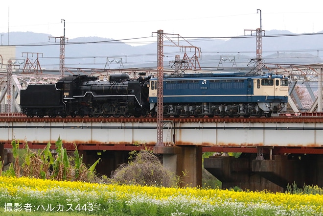 【JR西】D51-200新山口へ配給輸送されるを不明で撮影した写真