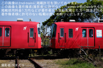 byやまどり