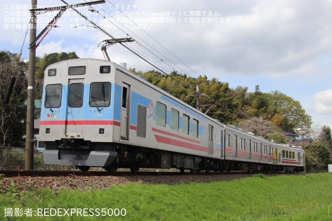 【東急】デハ9403が長津田車両工場へ回送（1枚目）