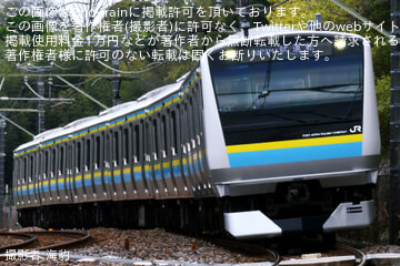 by海豹