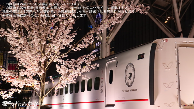 【JR九】「つばめの大冒険」で800系U005編成1号車がサクラ色に　博多駅前広場で桜ペインティング公開 - 博多駅にて撮影