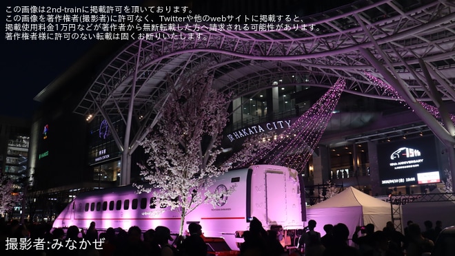 【JR九】「つばめの大冒険」で800系U005編成1号車がサクラ色に　博多駅前広場で桜ペインティング公開 - 博多駅にて撮影