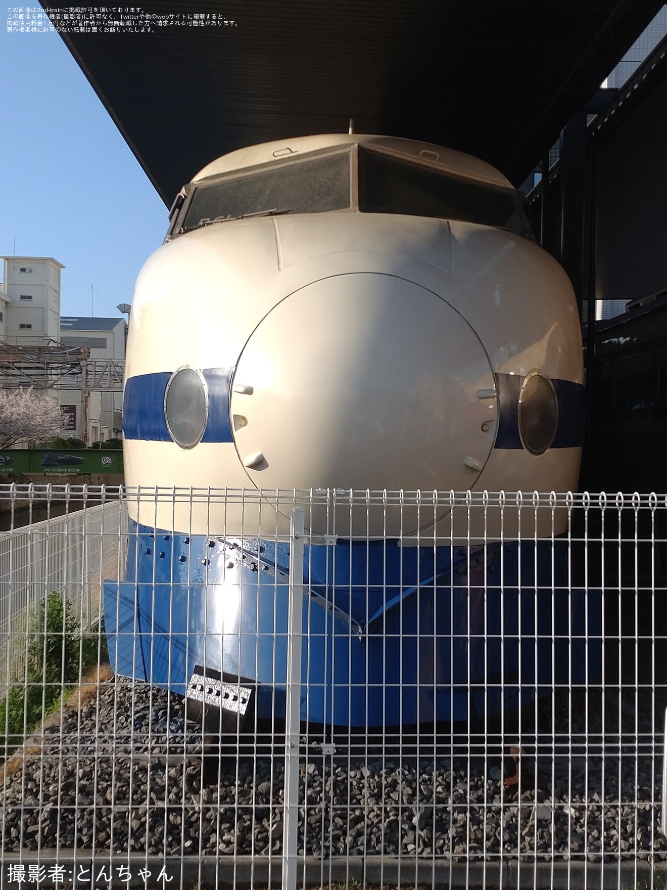 【川車】クハ26001と0系21-7008に、上皇ご夫妻のご成婚日にあわせた特別な装飾が実施の拡大写真