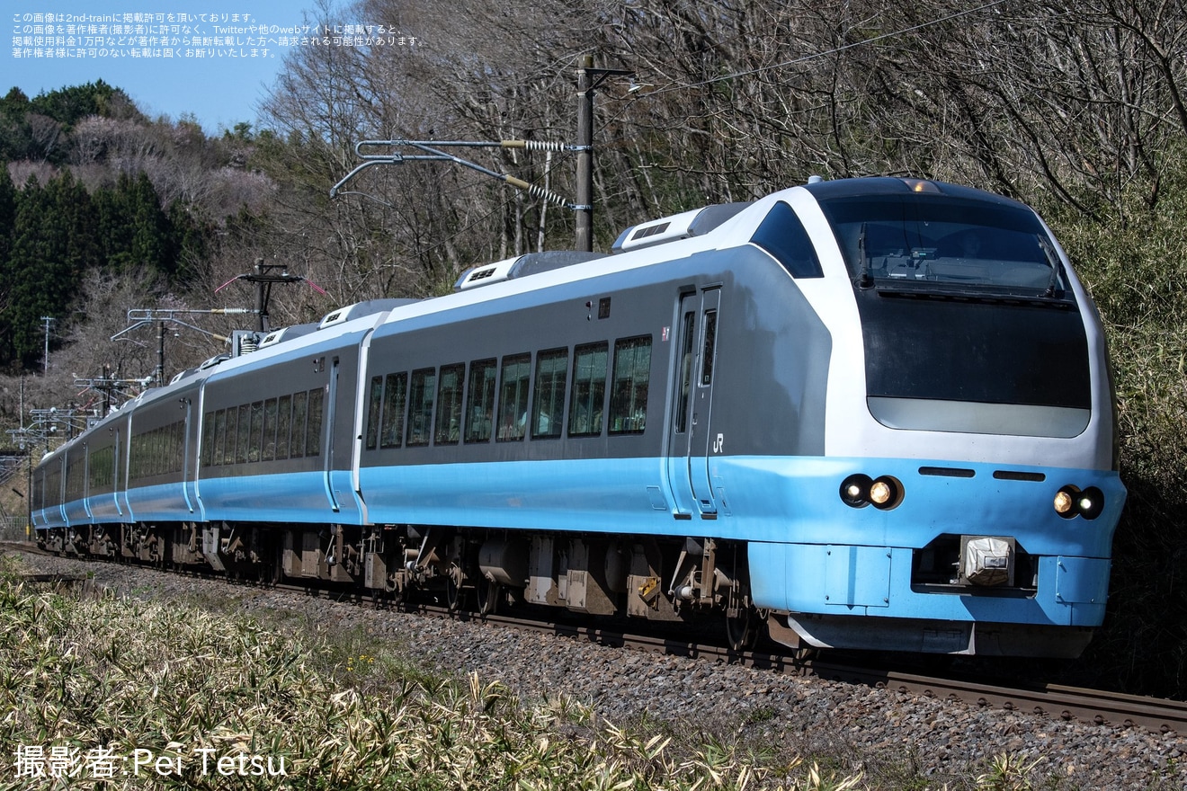 【JR東】臨時特急「あづま(福島さくら紀行)」を運行の拡大写真