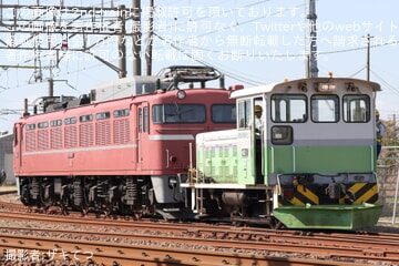 【JR東】EF81-81が構内入換で外から見える位置へ