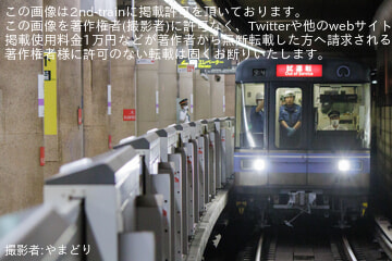 byやまどり