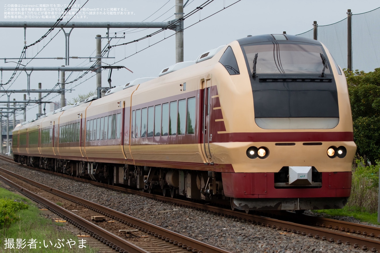 【JR東】臨時特急「絶景ネモフィラ君津号」を運行(2026年4月)の拡大写真