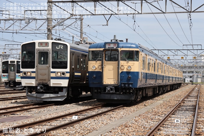 【JR東】115系S9編成と211系N608編成による横須賀色撮影会が開催を長野総合車両センターで撮影した写真