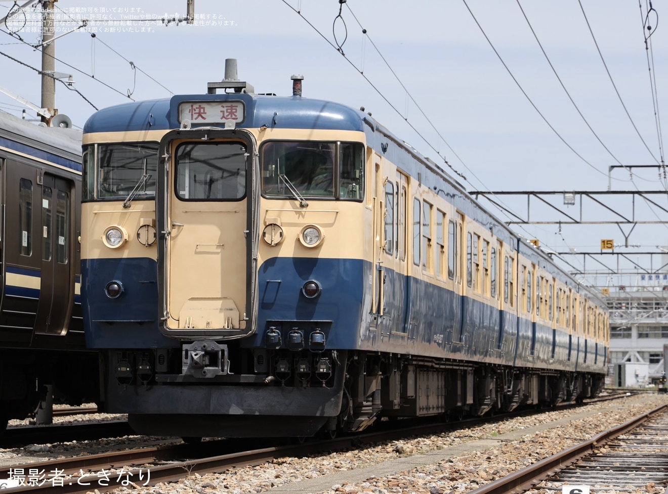 【JR東】115系S9編成と211系N608編成による横須賀色撮影会が開催の拡大写真