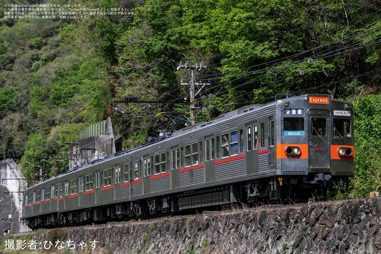 【秩鉄】5000系5002Fを使用した鉄道ファン主催の「Rekan KRL」インドネシア装飾団臨が運転の拡大写真