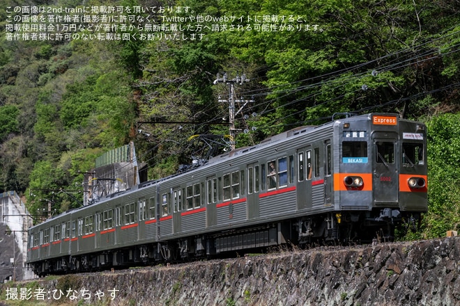 【秩鉄】5000系5002Fを使用した鉄道ファン主催の「Rekan KRL」インドネシア装飾団臨が運転を不明で撮影した写真