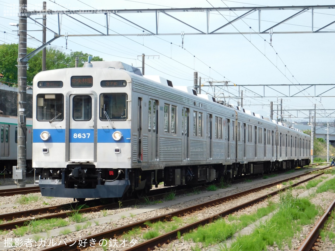 【東急】「8500系8637編成構内乗車・撮影会」開催の拡大写真
