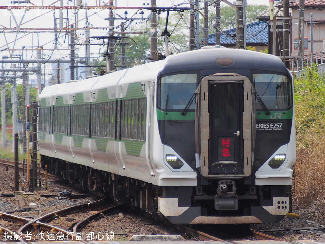 【JR東】臨時特急「あしかが大藤新宿号」を運行(2026年)の拡大写真