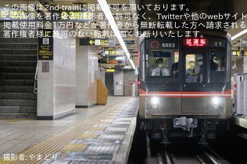 byやまどり
