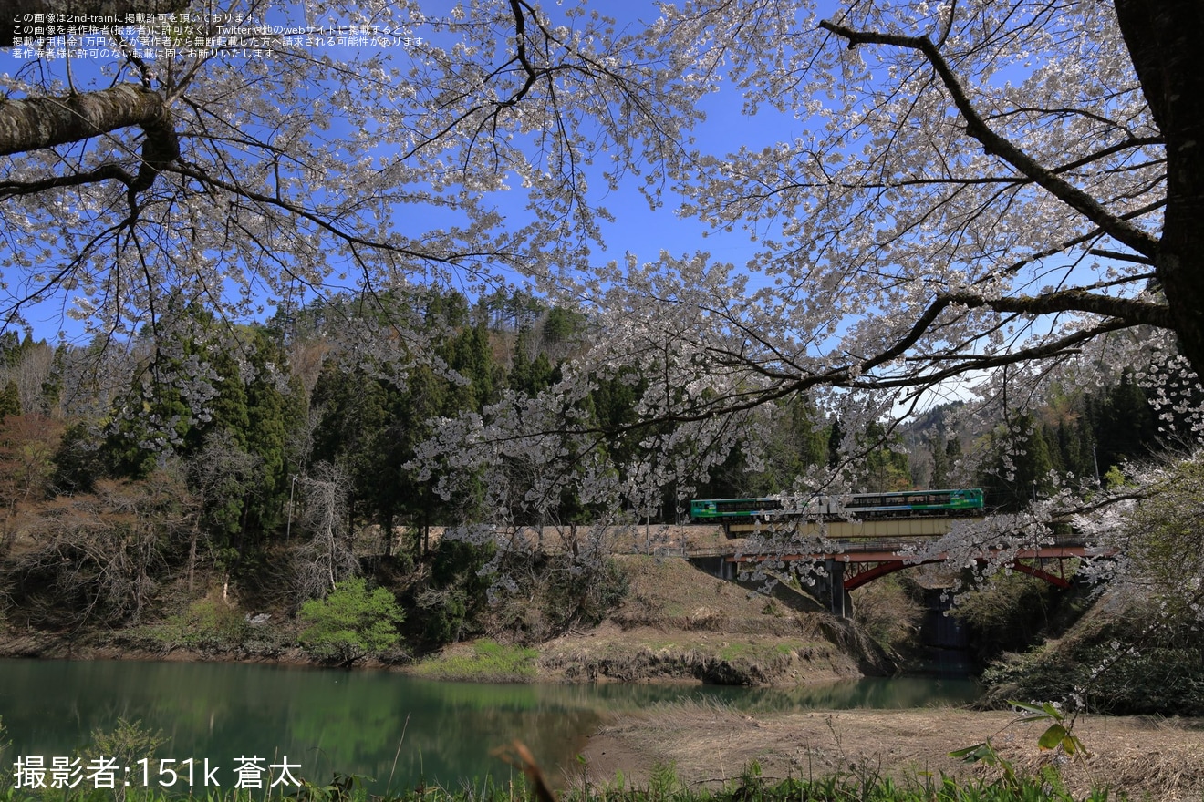 【JR東】臨時快速「風っこ只見線満喫号」を運行(2026年春)の拡大写真
