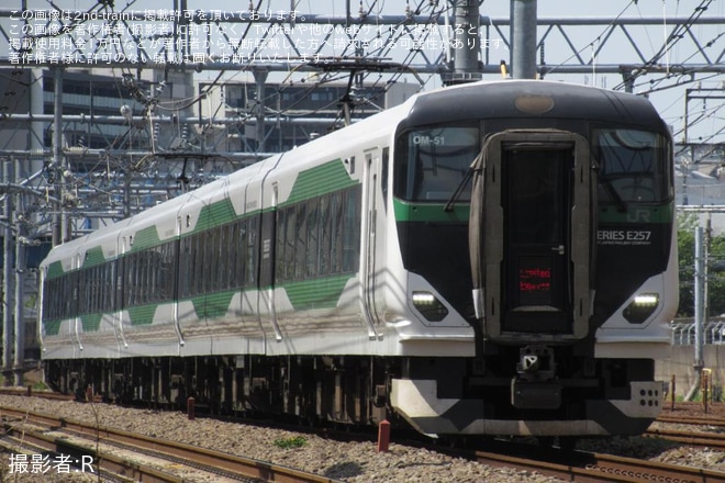 【JR東】臨時特急「あしかが大藤大船号」を運行(2026年)（1枚目）