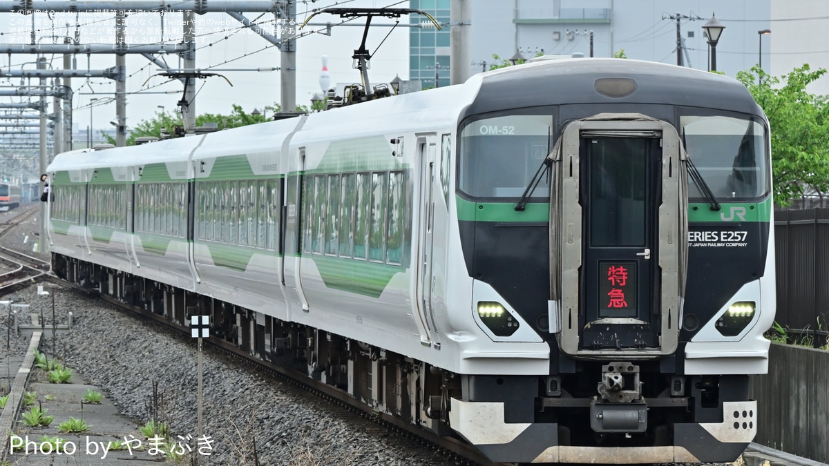 JR東】臨時特急「あしかが大藤西船橋」号を運転(2026年) |2nd-train