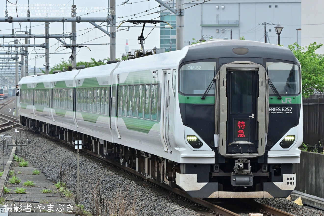 【JR東】臨時特急「あしかが大藤西船橋」号を運転(2026年)の拡大写真