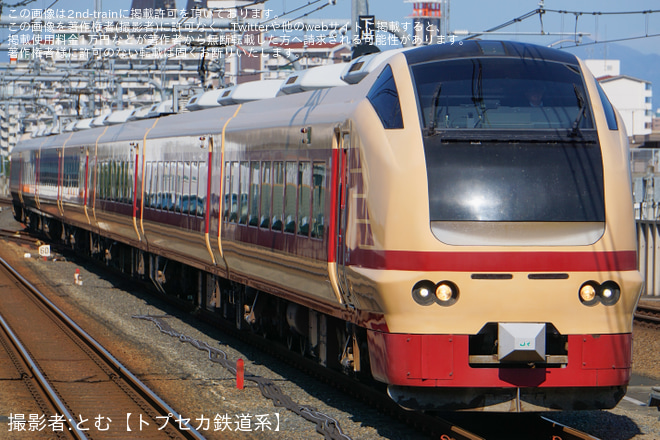 【JR東】臨時特急「絶景ネモフィラ高尾号」を運行（1枚目）