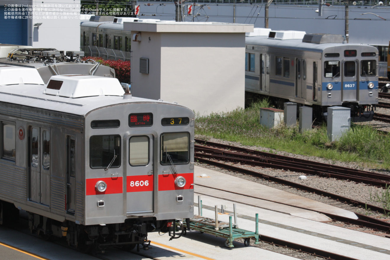【東急】8500系8637Fを使用したこどもの国線GW臨時列車運行の拡大写真