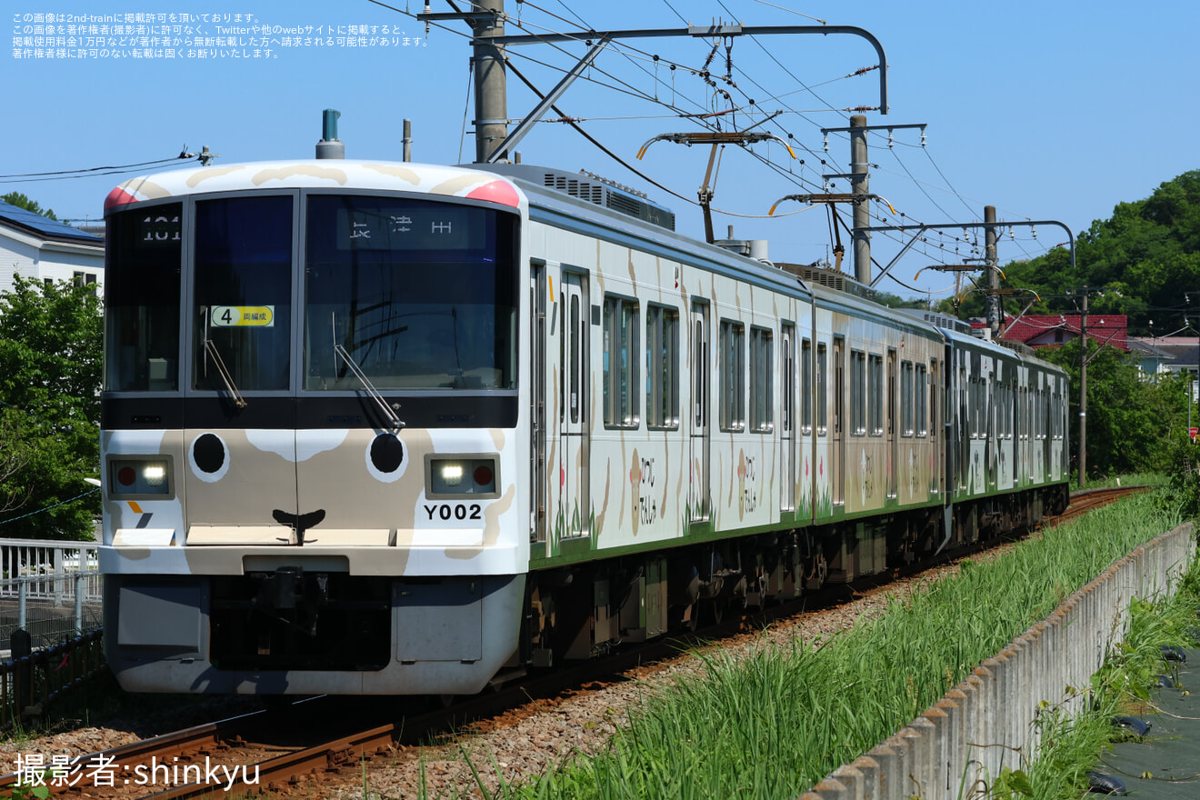 【横高】「うしでんしゃ」+「ひつじでんしゃ」4両編成運転の拡大写真