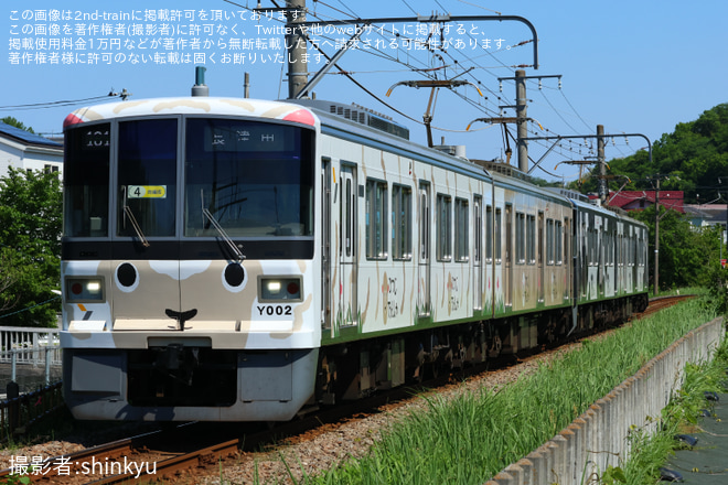 【横高】「うしでんしゃ」+「ひつじでんしゃ」4両編成運転 - こどもの国～恩田間にて撮影