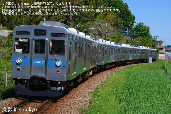 【東急】8500系8637Fを使用したこどもの国線GW臨時列車運行