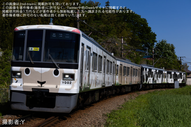【横高】「うしでんしゃ」+「ひつじでんしゃ」4両編成運転 - こどもの国～恩田間にて撮影