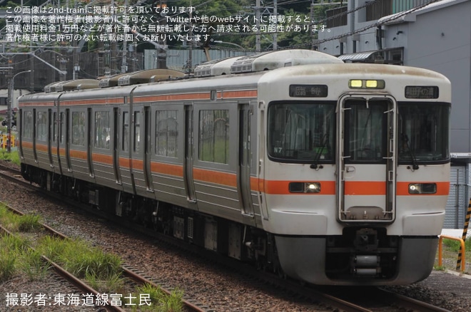 【JR海】由比桜えびまつり開催に伴う臨時列車が運転を不明で撮影した写真