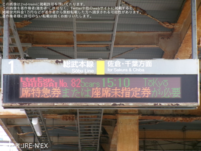 【JR東】E257系を使用した「しおさい81・82号」が運行を八街駅で撮影した写真
