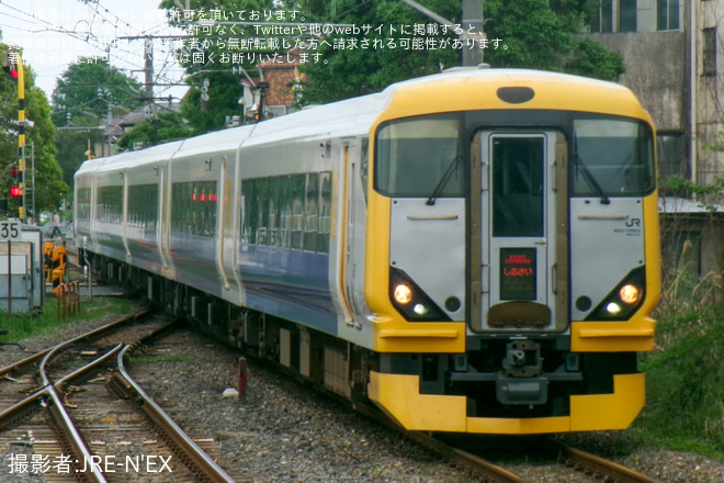【JR東】E257系を使用した「しおさい81・82号」が運行を八街駅で撮影した写真