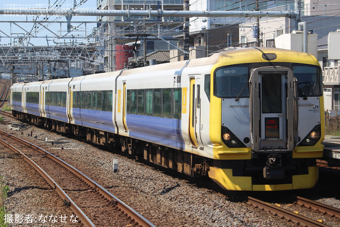 【JR東】E257系マリNB-01編成使用 臨時特急「わかしお82/83号」運転の拡大写真