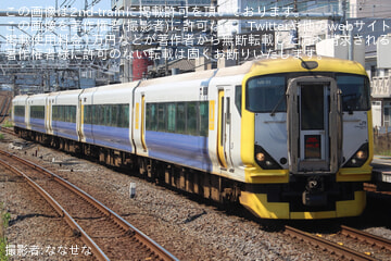 【JR東】E257系マリNB-01編成使用 臨時特急「わかしお82/83号」運転