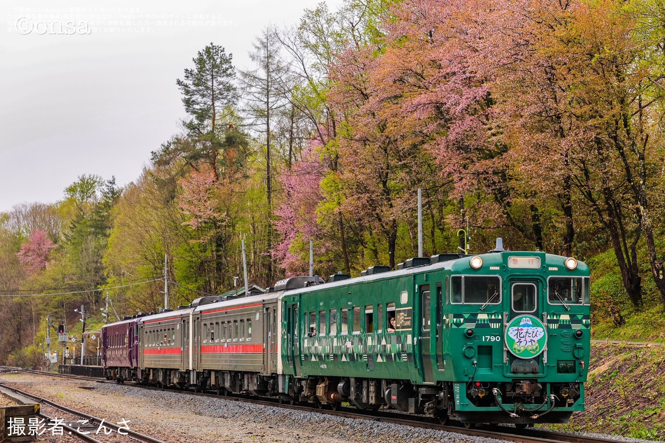 【JR北】花たびそうや号運転(2026年)の拡大写真
