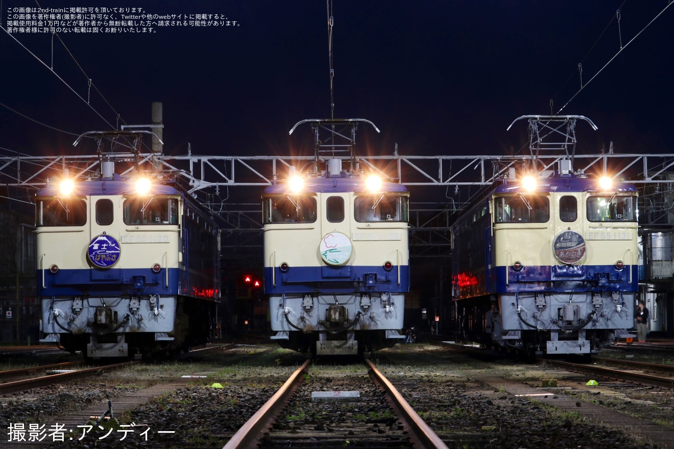 【JR西】「国鉄型機関車 EF65 夜間撮影会 in 下関 vol.2」開催の拡大写真