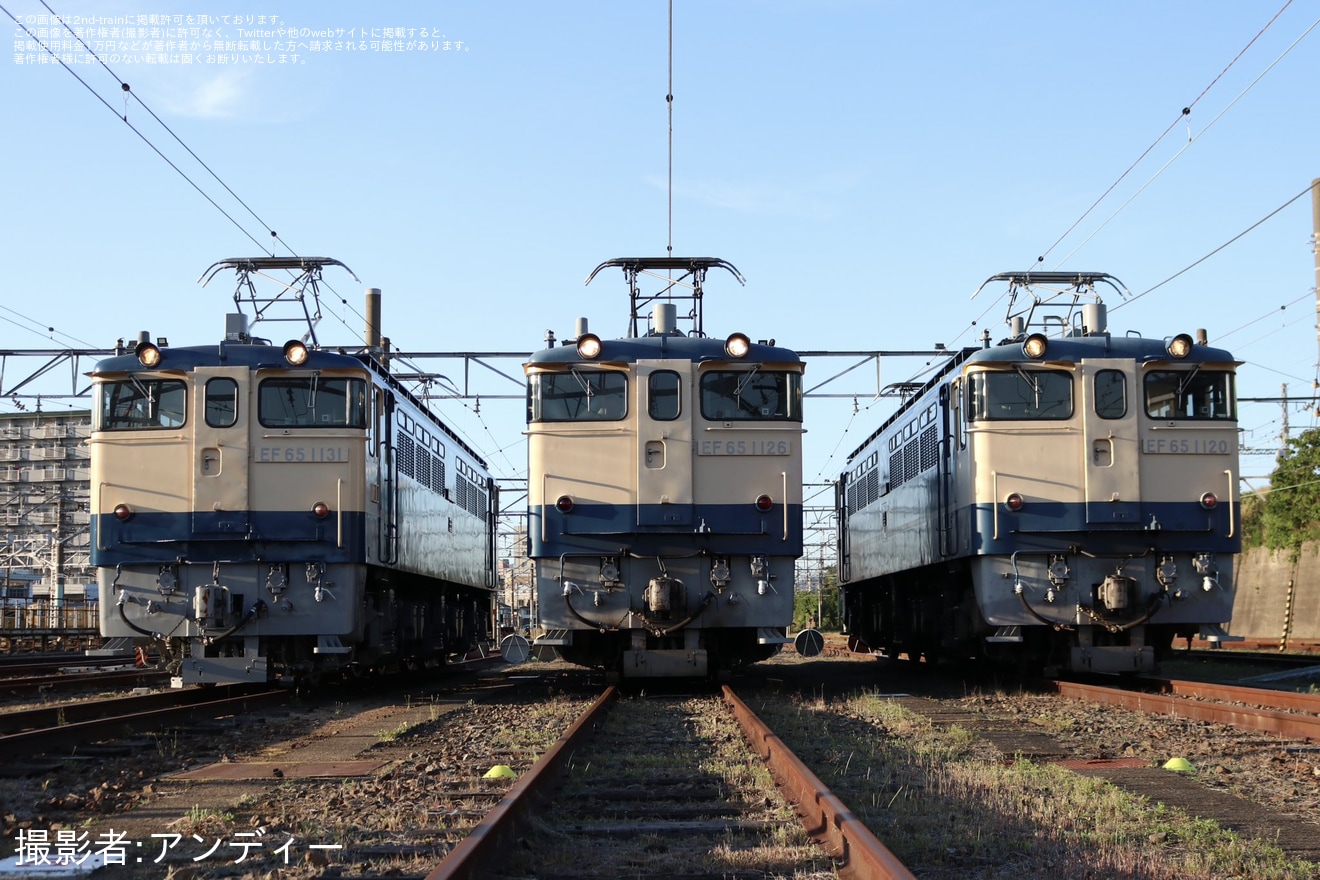 【JR西】「国鉄型機関車 EF65 夜間撮影会 in 下関 vol.2」開催の拡大写真