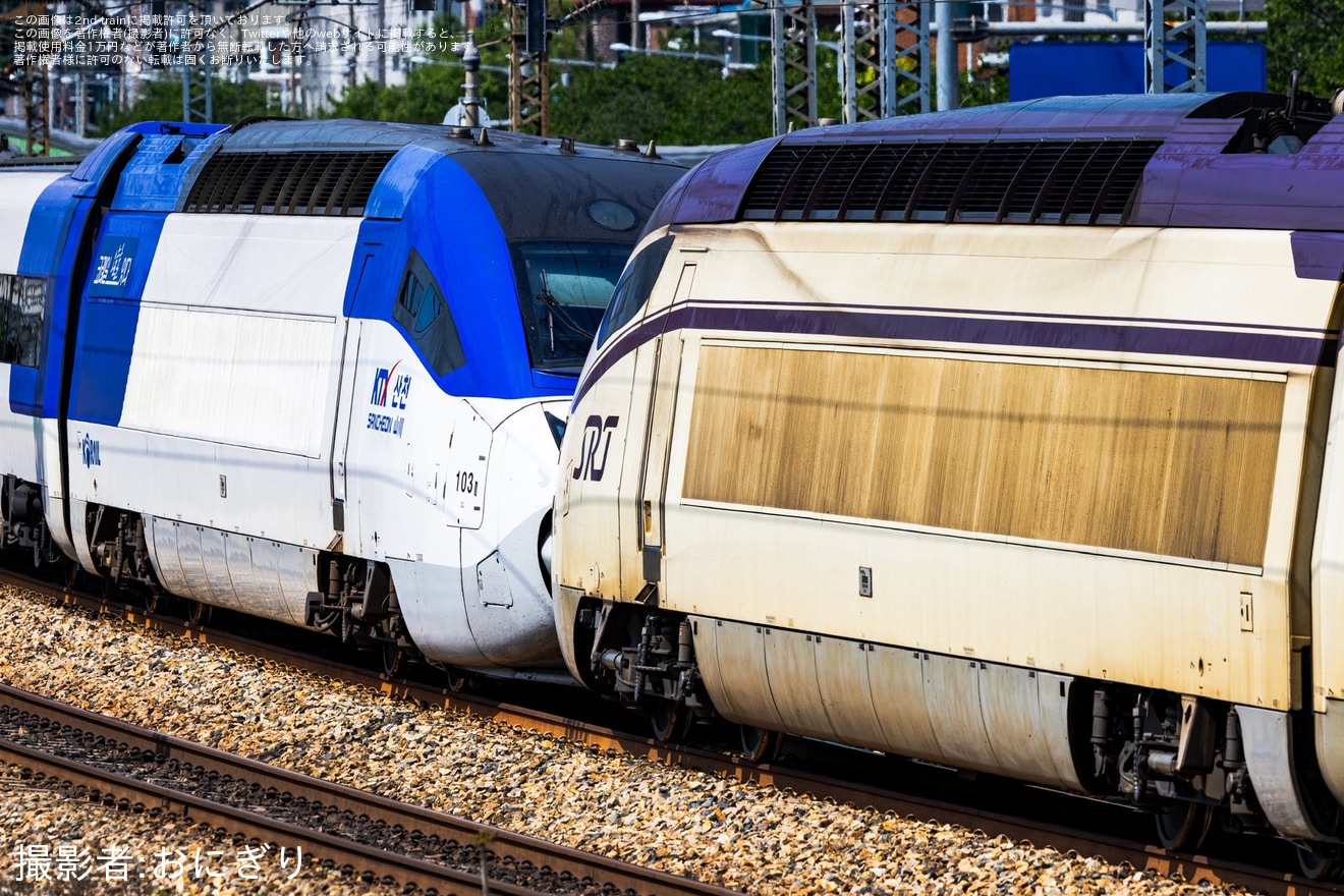 【Korail】KTX+SRT併結試運転が実施の拡大写真