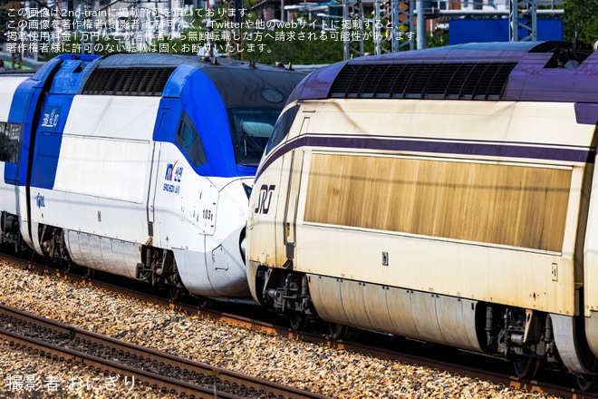 【Korail】KTX+SRT併結試運転が実施を不明で撮影した写真