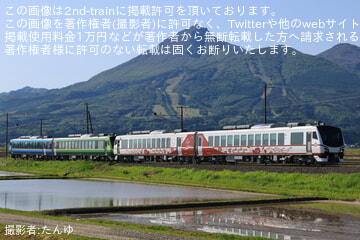 byたんゆ