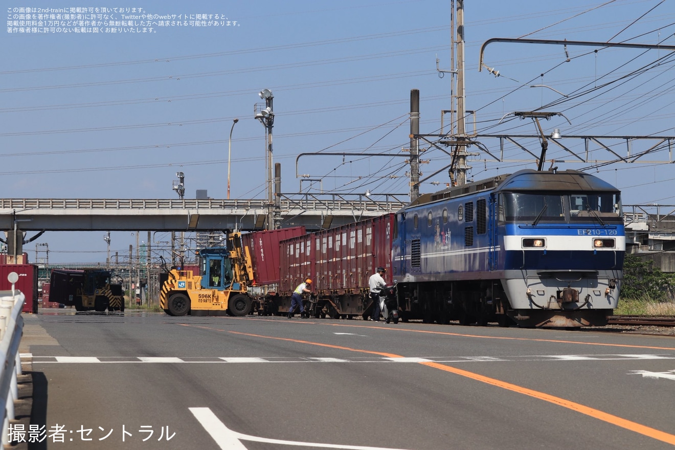 【JR貨】EF64-1042・EF210-13が静岡貨物駅で展示の拡大写真