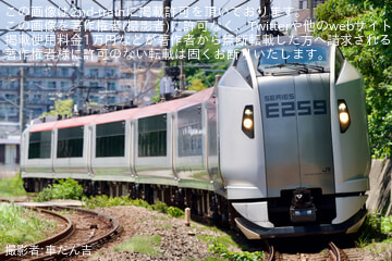 【JR東】E259系クラNe017編成 TASC試運転