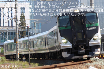 byぽぽ